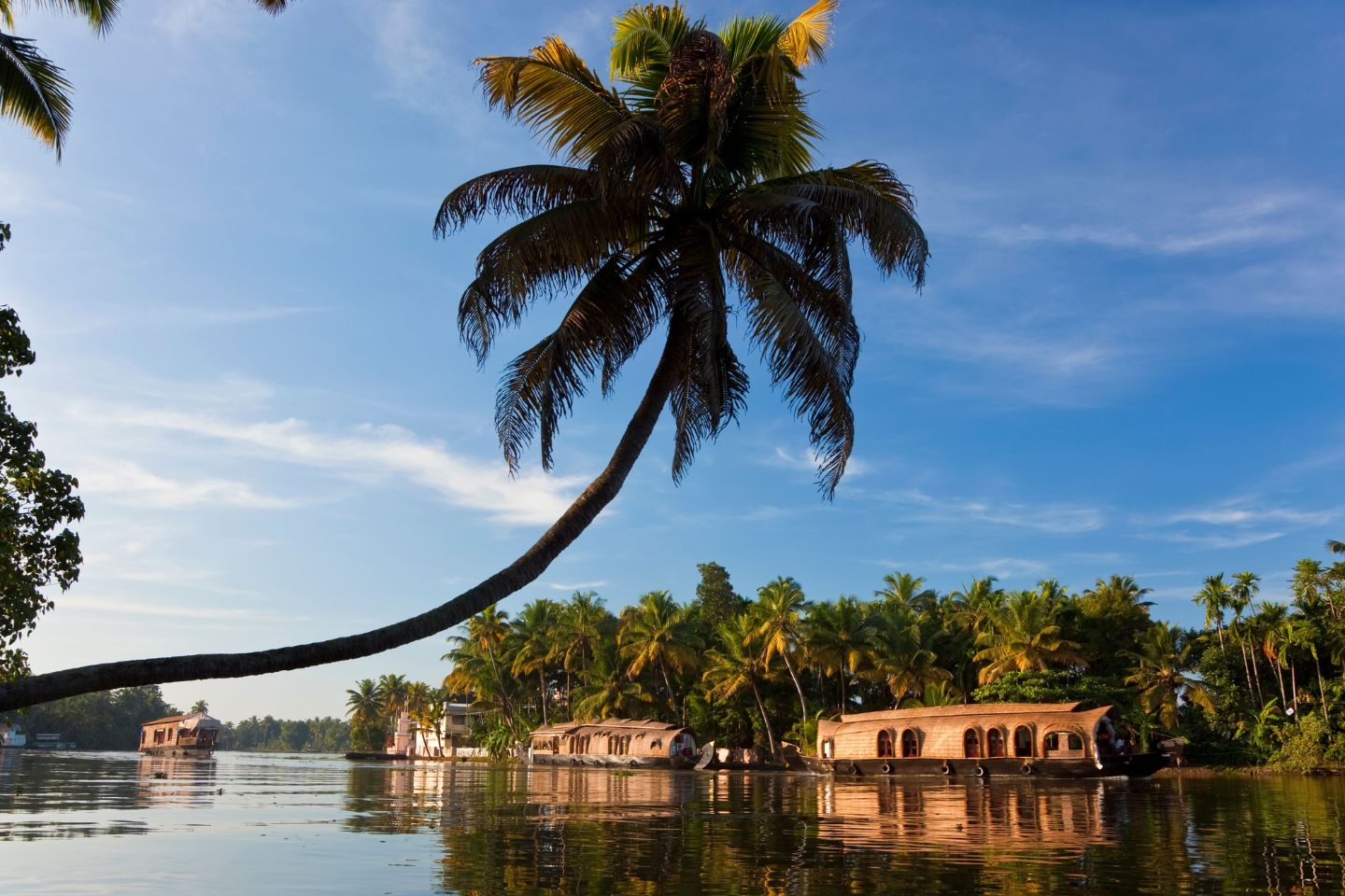 kerala-tourism-header